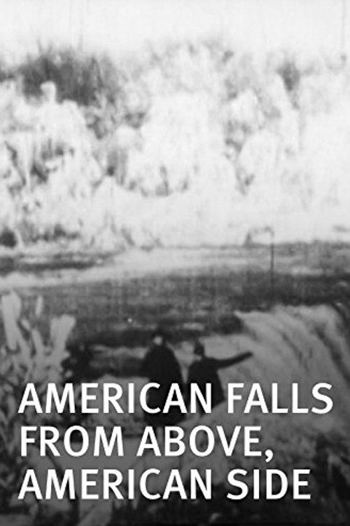 American Falls from Above, American Side (1896) poster