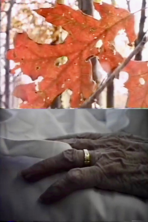 The Creeping Crimson (1987) poster