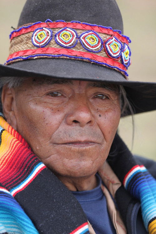 The Teachings of Don Juan poster