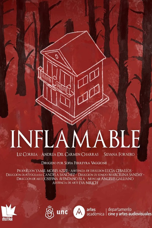 Inflamable (2025) poster