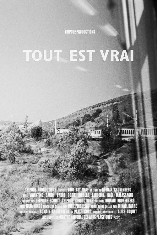 Tout est vrai (All Is True) (2019) poster