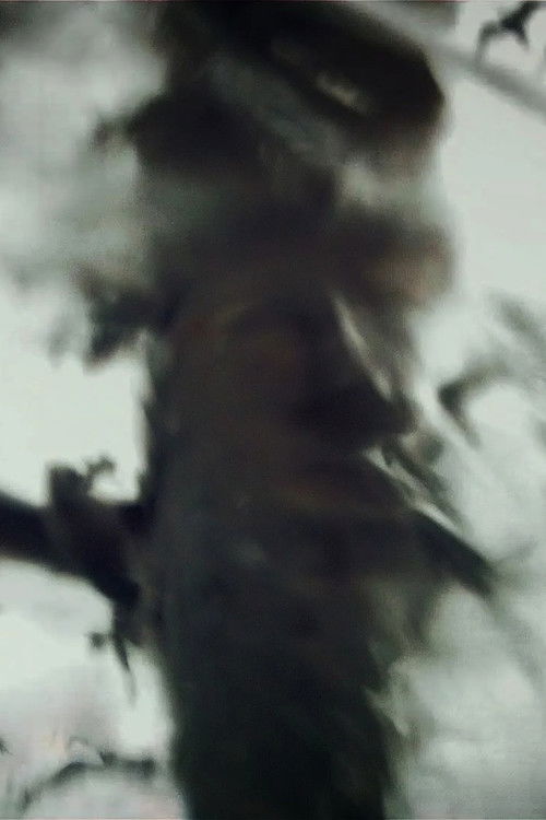 Spirit Stills (2013) poster