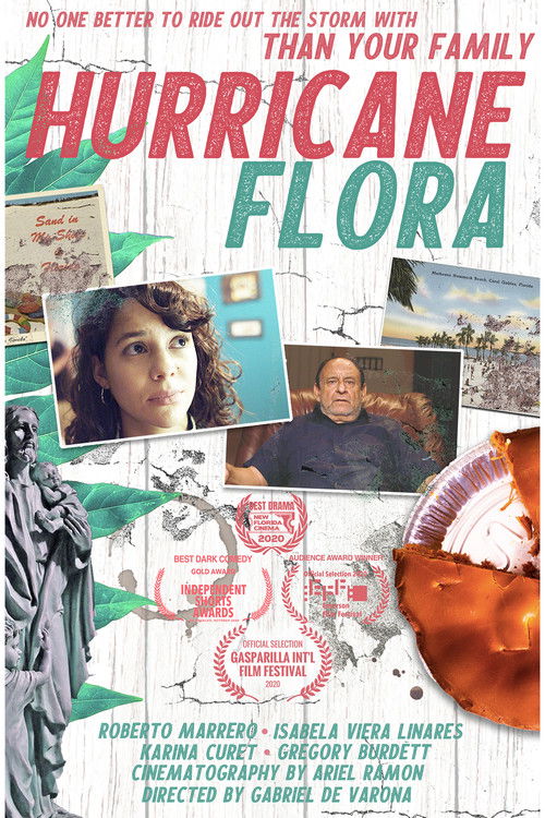Hurricane Flora (2021) poster
