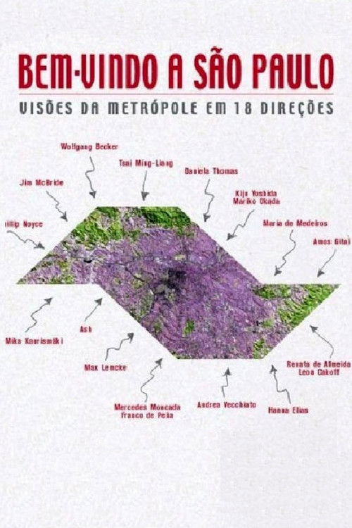Bem-Vindo a São Paulo (2004) poster
