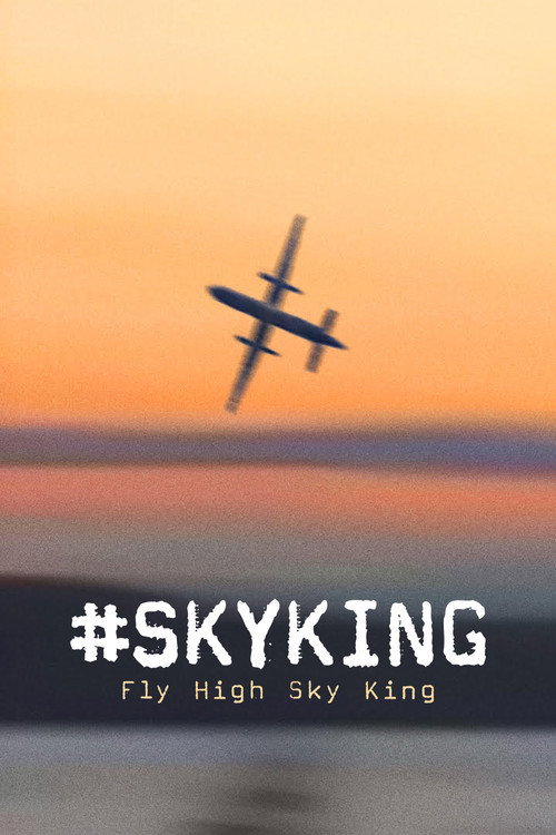 #SKYKING (2026) poster
