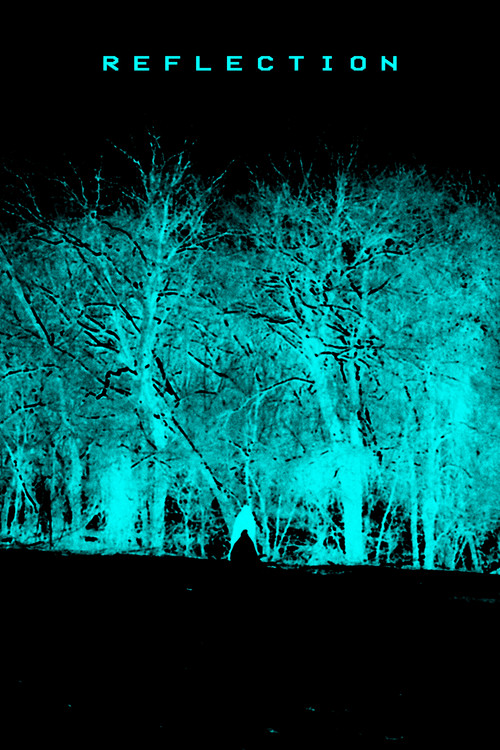 REFLECTION.mp4 (2025) poster
