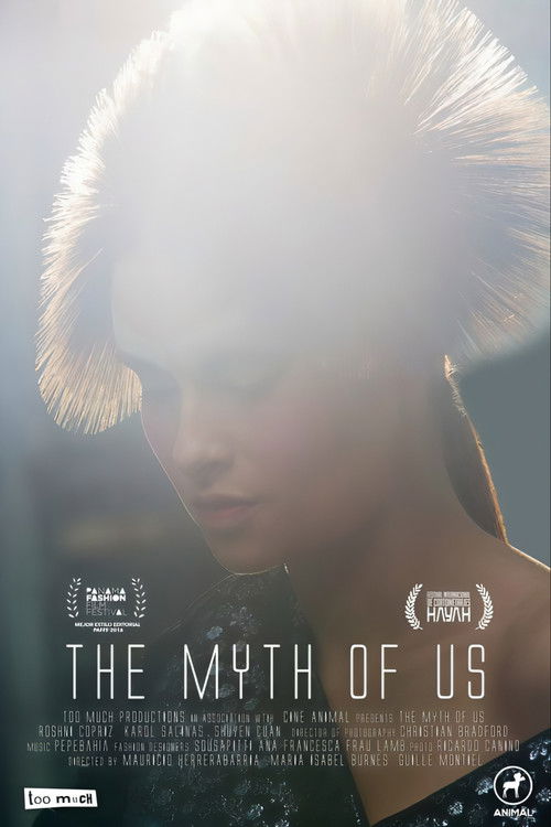 The myth of us poster