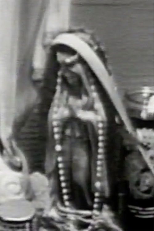 Brincando el Charco: Portrait of a Puerto Rican (1994) poster