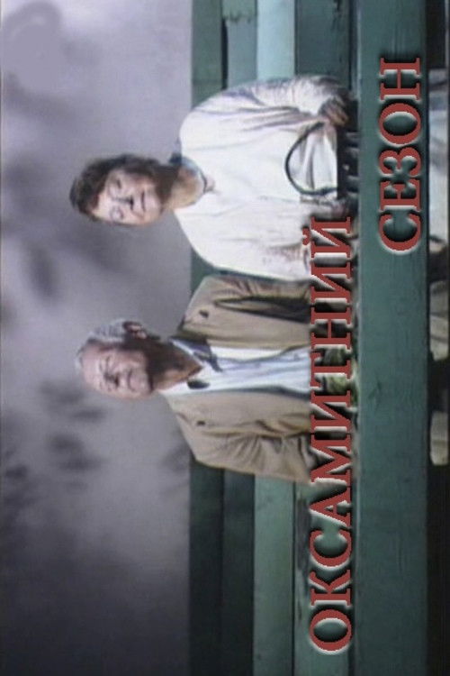 The Velvet Season (2006) poster