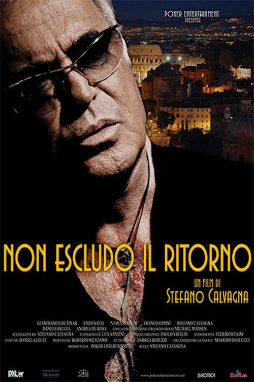 Non Escludo Il Ritorno (2014) poster