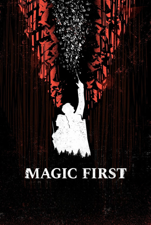 Magic First (2017) poster