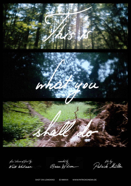 This Is What You Shall Do (2017) poster