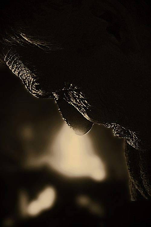 Entretejidos (2024) poster