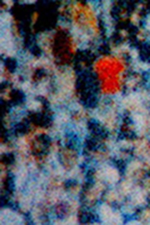 Crossing (2017) poster