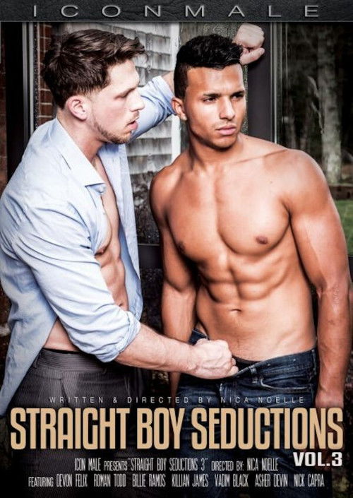Straight Boy Seductions 3 (2016) poster