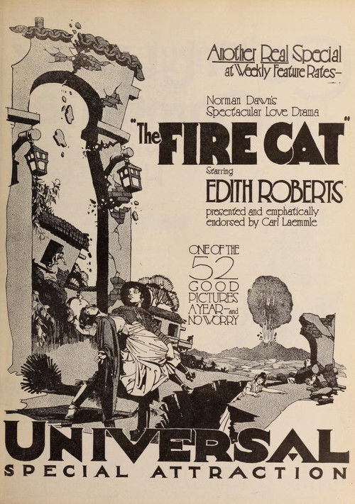 The Fire Cat (1921) poster