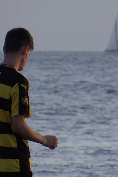 The Space Between The Sky And The Rock (2020) poster