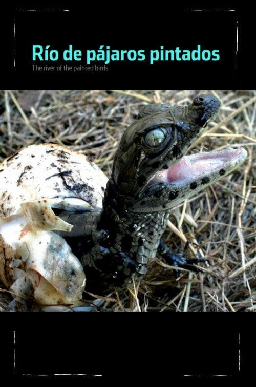 The River of the Painted Birds (2008) poster