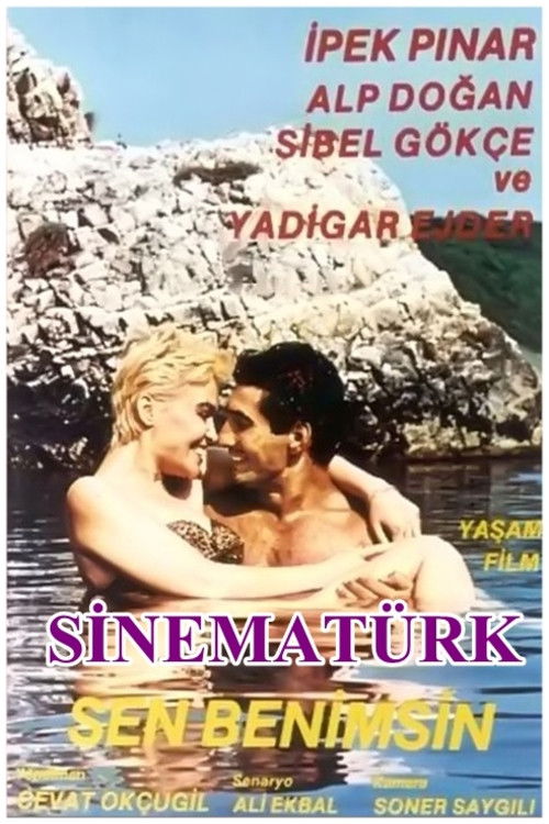 Sen Benimsin (1988) poster