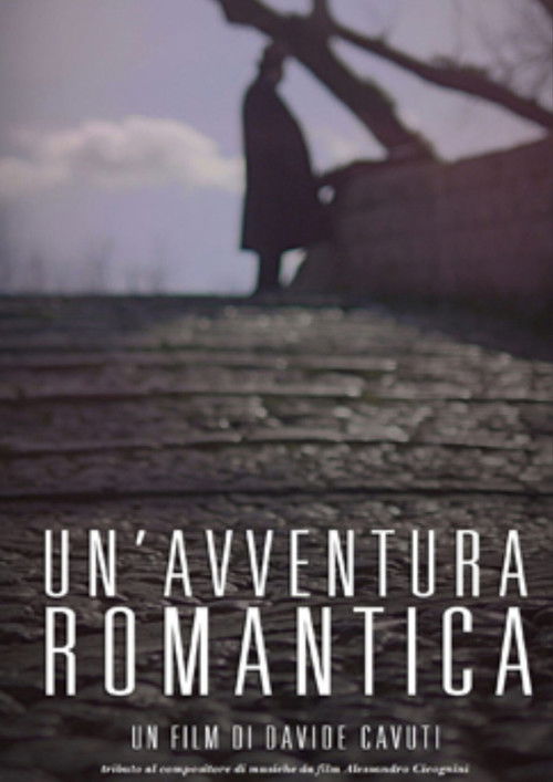 Un'Avventura Romantica (2016) poster