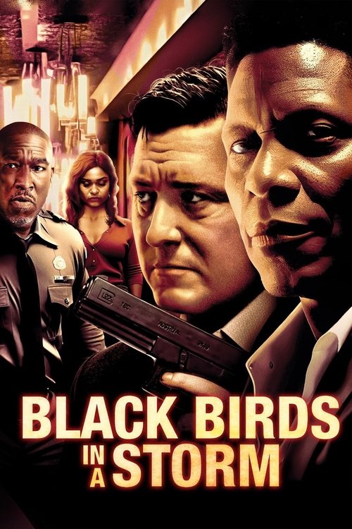 Black Birds in a Storm (2023) poster