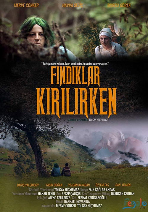 Fındıklar Kırılırken (2018) poster