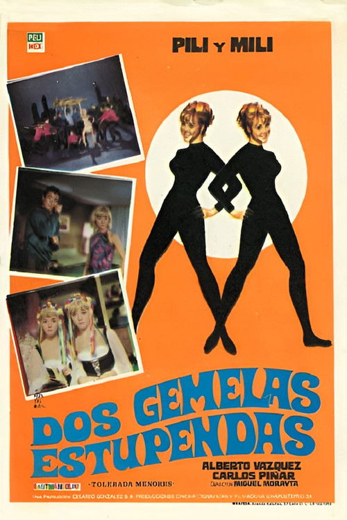 Dos gemelas estupendas (1968) poster
