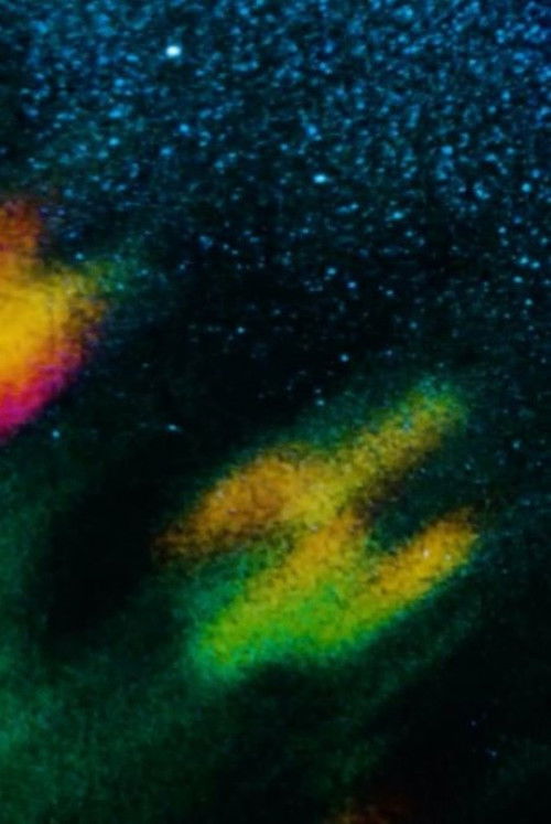 From Which Even the Memory of the Darkness Has Vanished (2019) poster