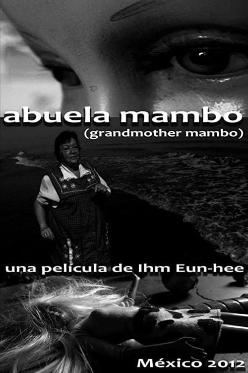 Abuela Mambo (2012) poster