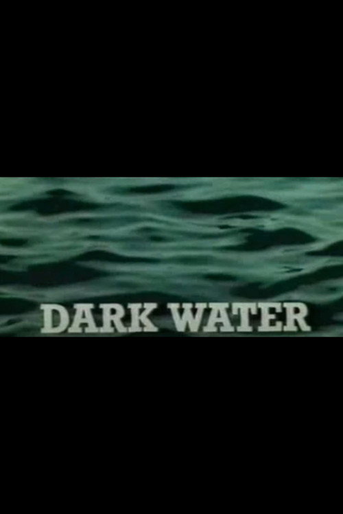 Dark Water (1980) poster