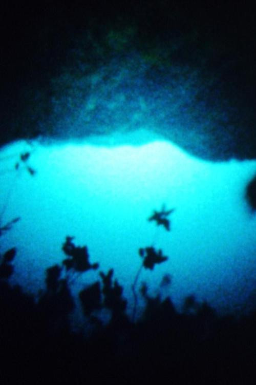 This Must Be the Wood poster