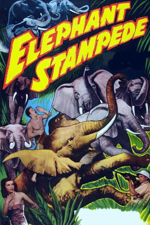 Elephant Stampede (1951) poster