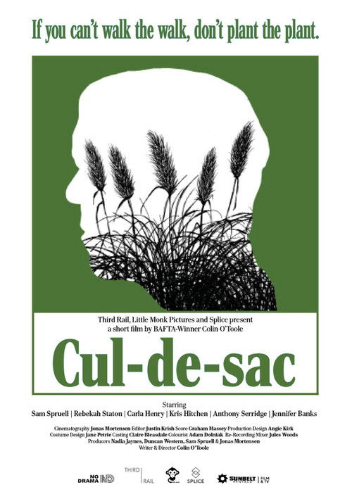 Cul-de-sac (2024) poster