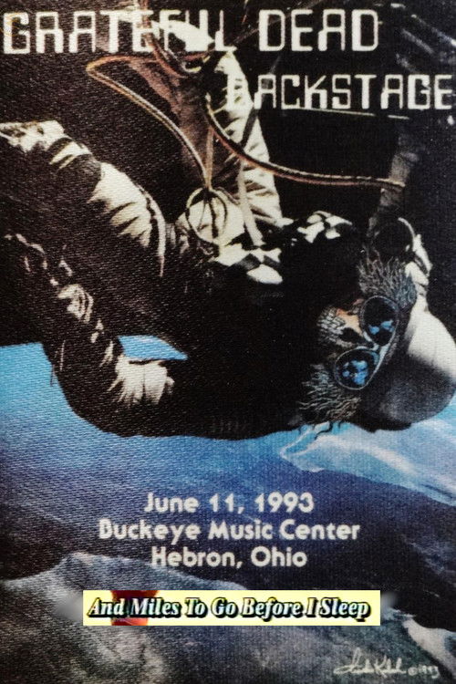 And Miles to Go Before I Sleep (1994) poster