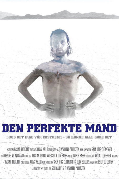 Den Perfekte Mand (2015) poster