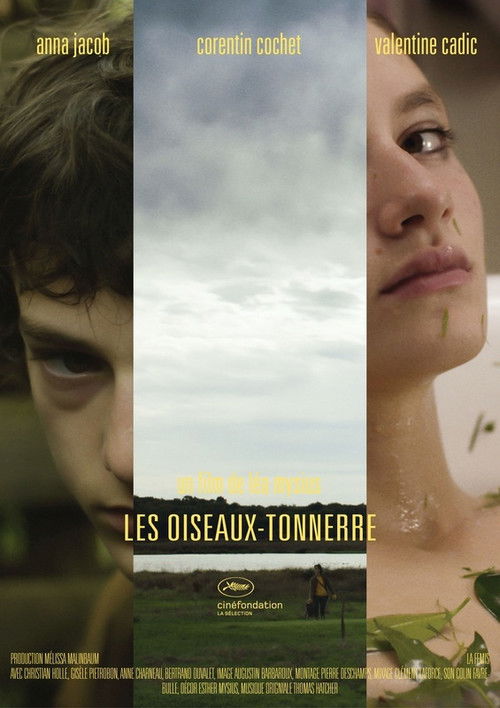 Thunderbirds (2014) poster