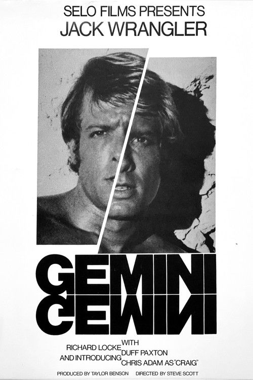 Gemini (1977) poster