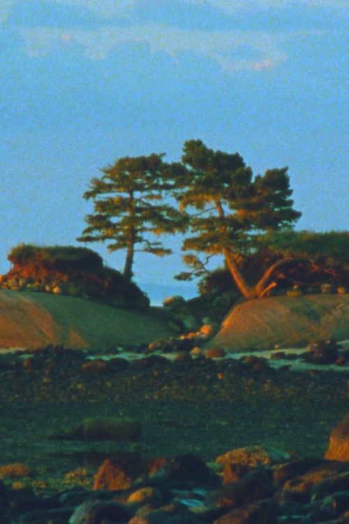 Two Trees (2024) poster