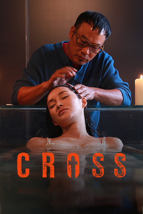 Cross (2012) poster
