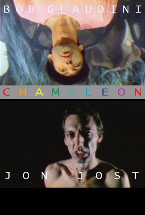 Chameleon (1978) poster