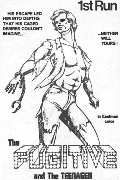 The Fugitive and the Teenager (1971) poster