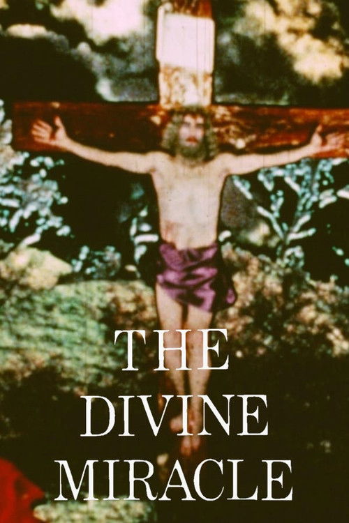 The Divine Miracle (1973) poster