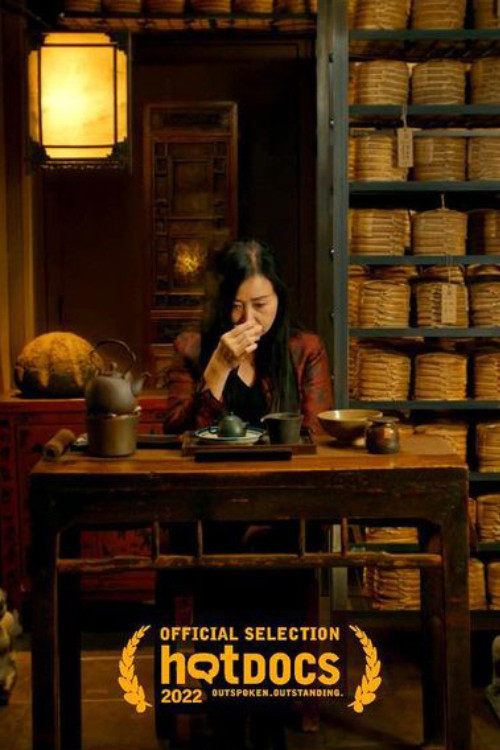 Her Scents of Pu Er (2022) poster