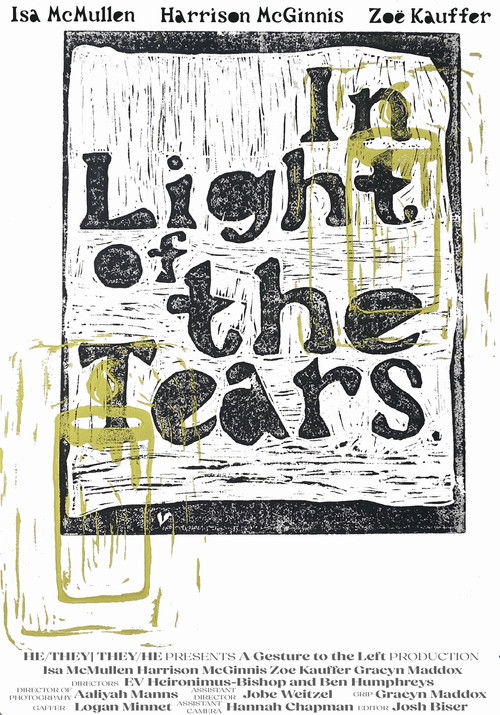 In Light of the Tears (2024) poster