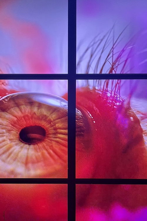 Peeping Freedom Shutters for Osakabe Sayaka (Apollomat vertical screen PFS_D) (2020) poster