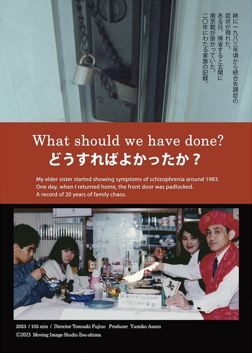 What Should We Have Done? (2024) poster