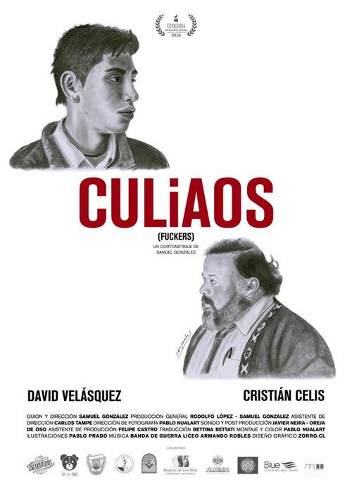 Culiaos (2016) poster