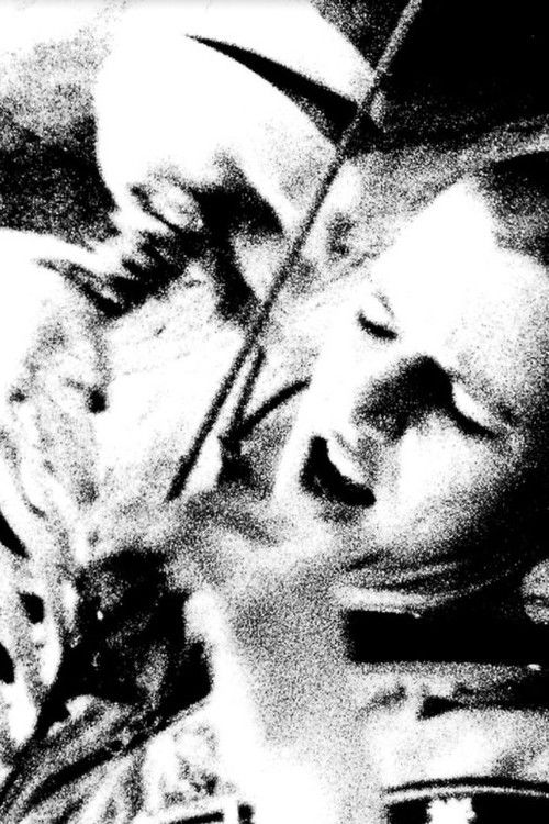 The Abbotess and the Flying Bone (1989) poster