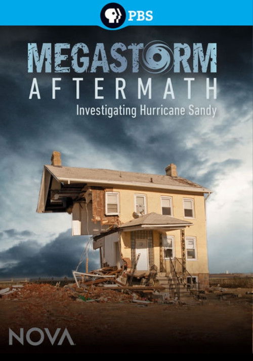 Megastorm Aftermath (2013) poster