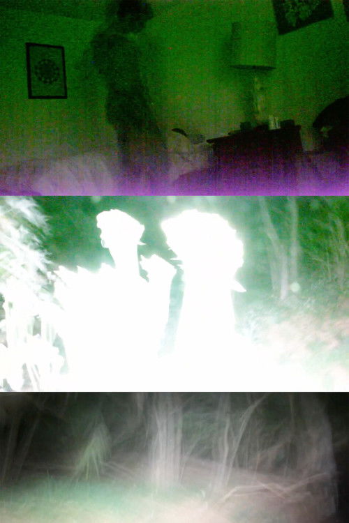 Retrato de mis sueños mezclándose con los suyos (2020) poster